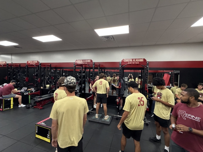 Force Decks Testing with Baseball Assessment