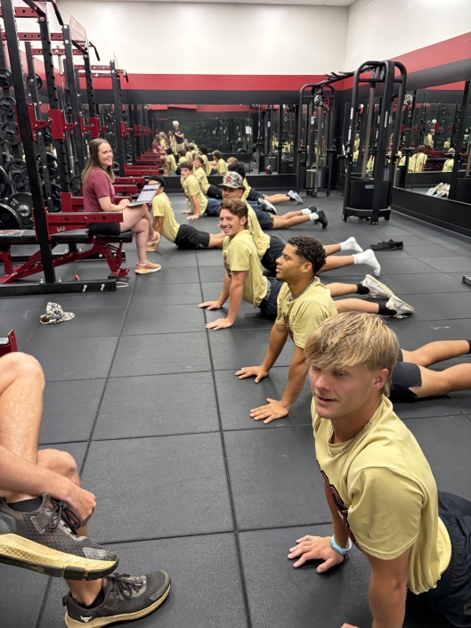 Lumbopelvic Extension Testing with Baseball Assessment
